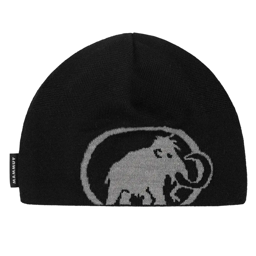 Mütze Mammut Tweak Beanie black-steel-