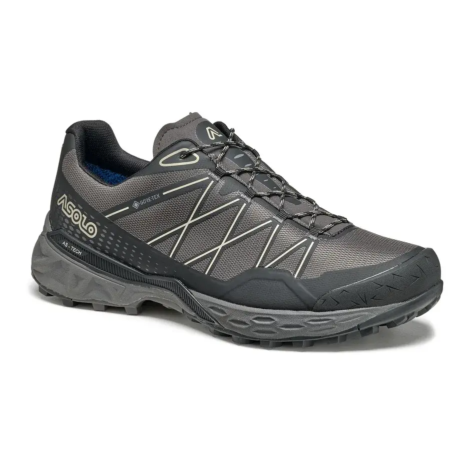 Asolo Herrenschuhe Asolo Tahoe GTX MM shark grey/black/beige/B181