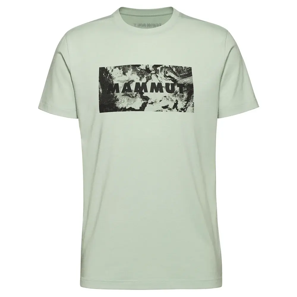 Herren-T-Shirt Mammut Trovat T-Shirt Logo silver sage