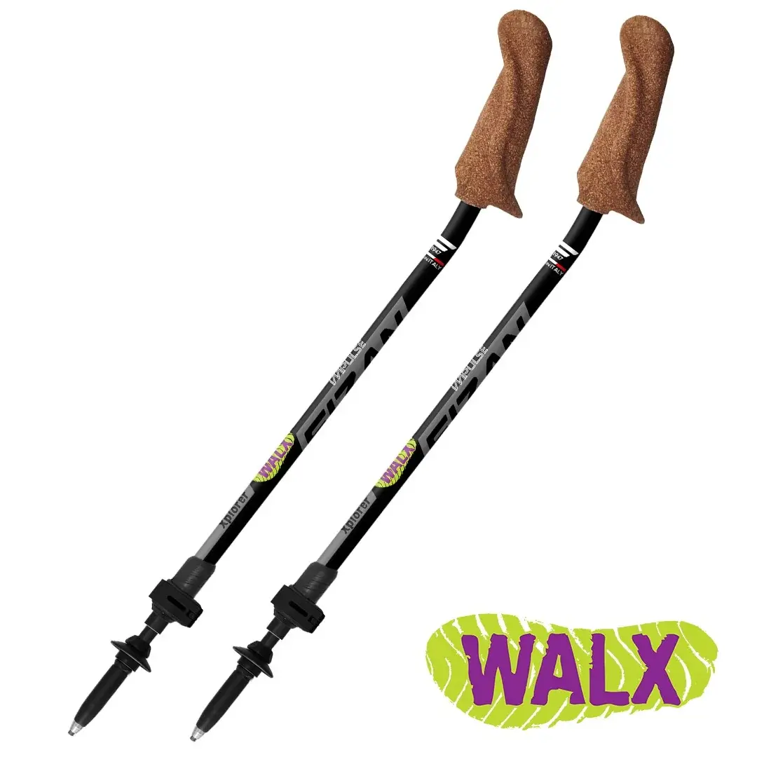 Trekkingstöcke Fizan Walx Xplorer schwarz
